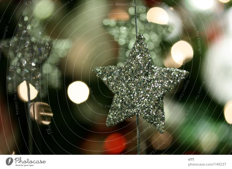 star shine Star (Symbol) Christmas star Christmas & Advent Embellish Christmas decoration Christmas tree decorations Glittering Handicraft Family party