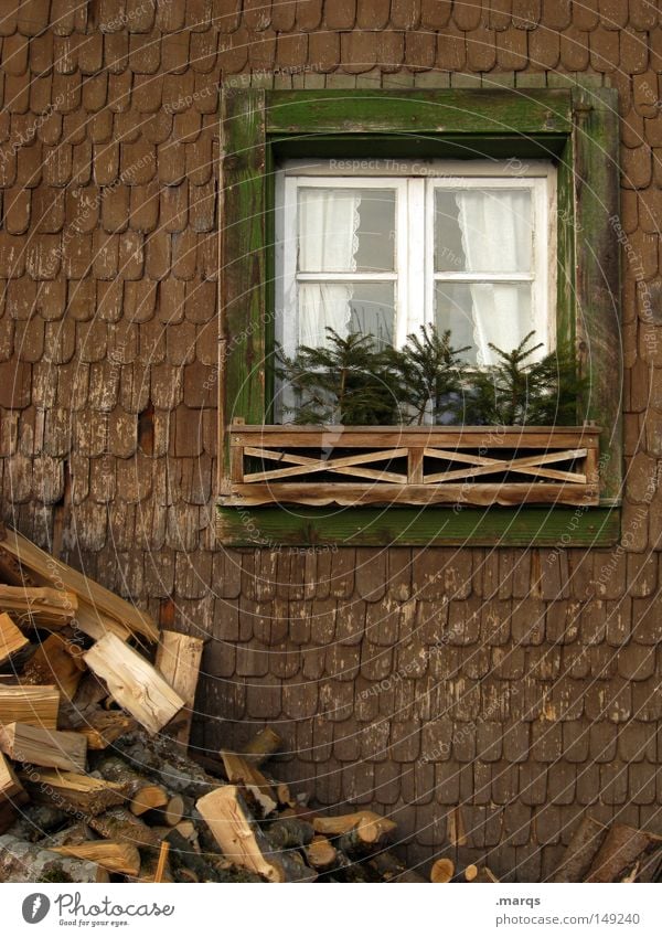 28.12. Colour photo Subdued colour Exterior shot Long shot Living or residing House (Residential Structure) Redecorate Tree Building Window Wood Historic Cold