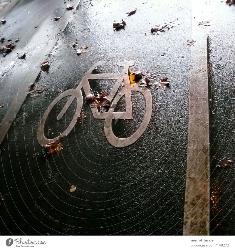 autumn bike Bicycle Autumn Wet October November December Bad weather Cycle path Signs and labeling Logo Means of transport Delivery person Courier Pavement Tar
