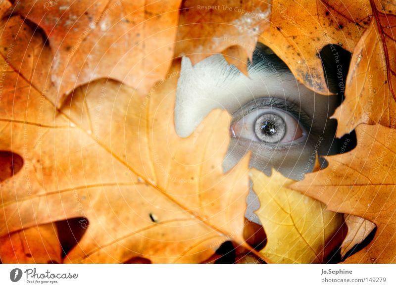 lost & forgotten Human being Masculine Eyes 1 Autumn flaked Observe Looking Creepy Fear Horror Fear of death Claustrophobia Perturbed Bizarre Whimsical Zombie