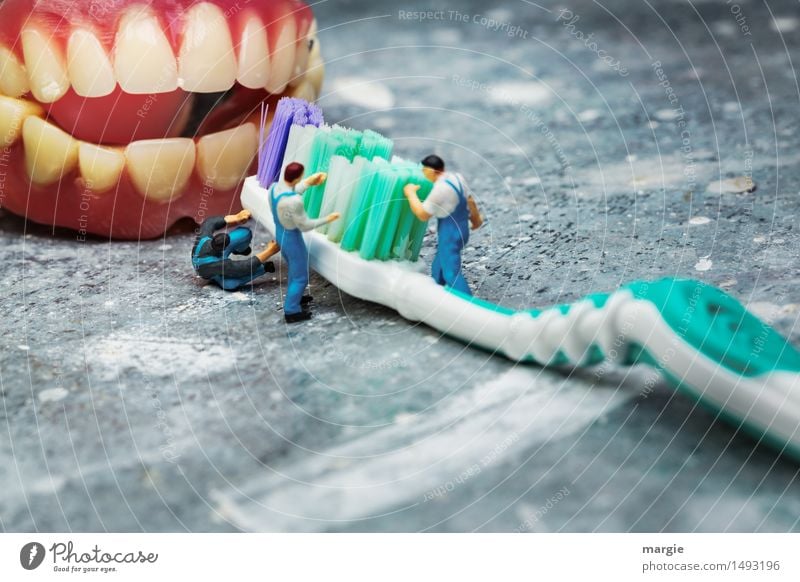 Miniwelten - Brushing your teeth Craftsperson Doctor Workplace Construction site Health care Human being Masculine Man Adults Teeth 3 Green Pink Cleanliness