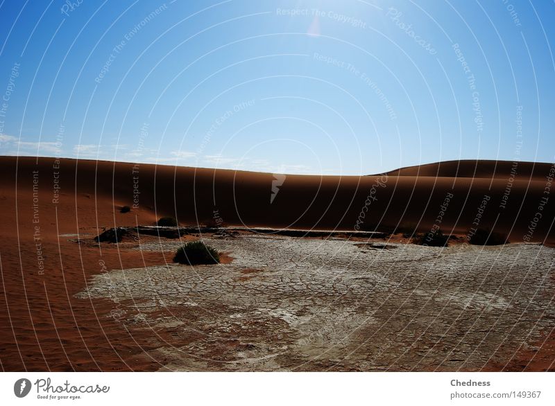 aridity Sun Warmth Pan Drought Dune Sand Desert Namib desert Namibia Africa Dry Earth scalding
