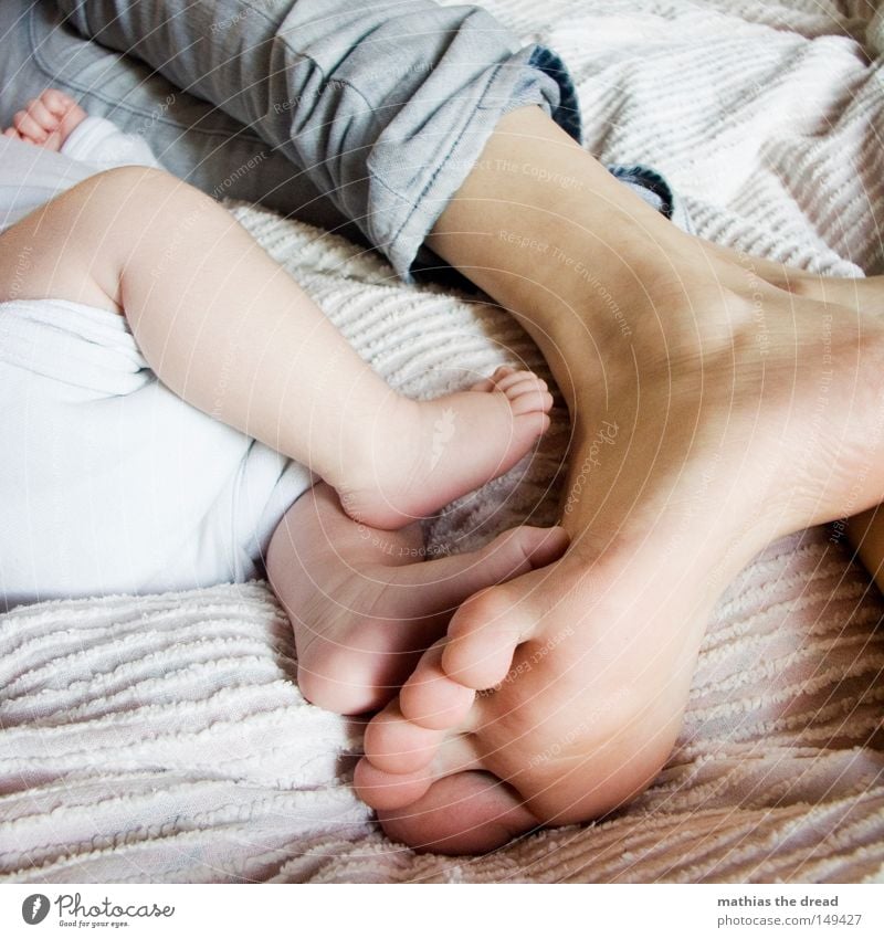 FEET IV 2 Couple Child Family & Relations Feet Baby Large Small Lie Relaxation Sole of the foot Boy (child) Rest Break Diminutive Legs Human being Calm Footwear