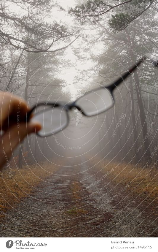 oversight Hand Emotions Eyeglasses sight loss Visible Retentive Footpath Fog Looking Tree Grass Autumn Gray Dreary Framework Glass Transparent Gravel Nature