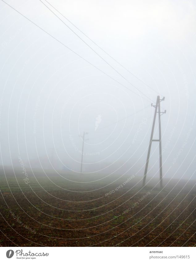 A in fog Fog Morning November Moody Telegraph pole Cable Field Autumn