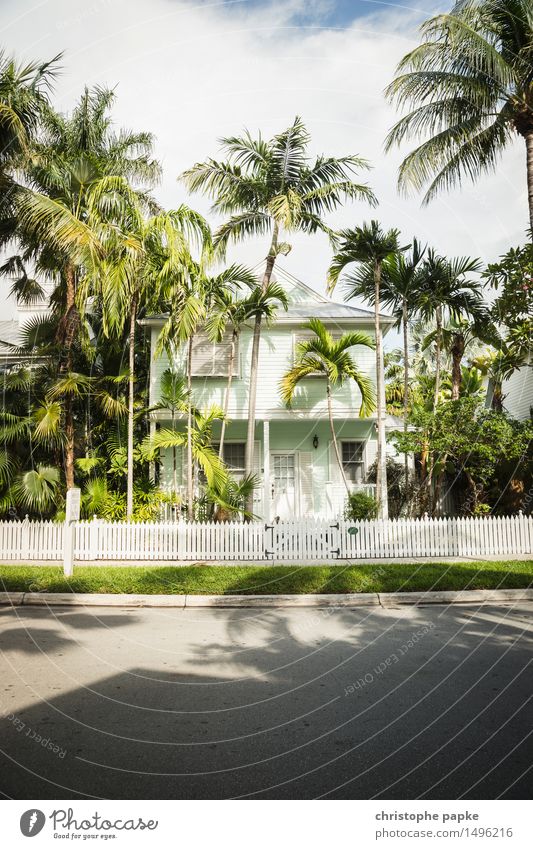 Nice cottage Nature Summer Beautiful weather Tree Palm tree Meadow Key West Florida USA House (Residential Structure) Detached house Dream house