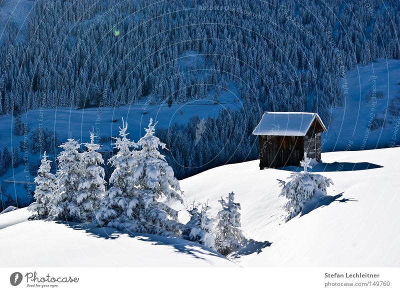 The first snow - Juche! Fiss Ladis Austria Park Winter Shows Mountain Landscape Snowscape Federal State of Tyrol Deep snow Idyll Love of winter Winter's day