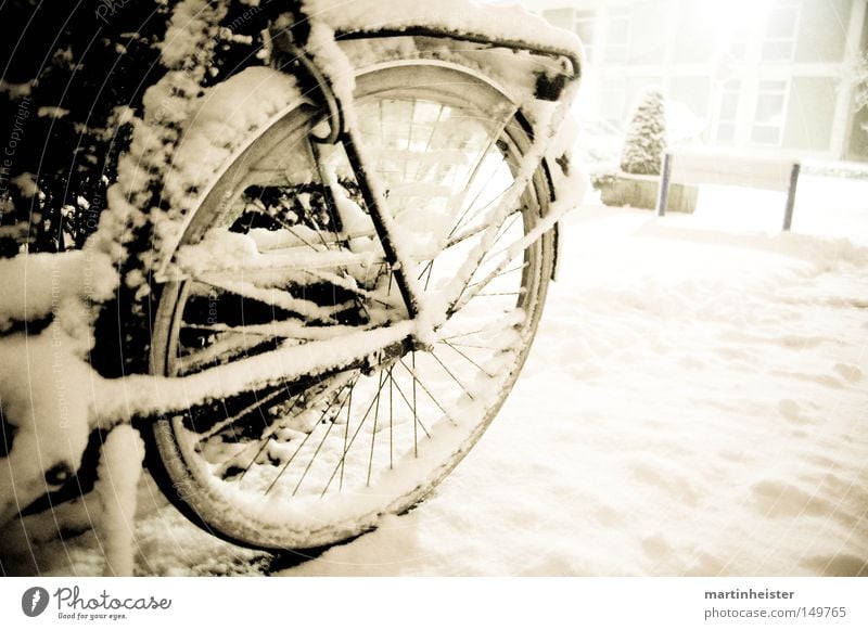 Wheel in the snow Bicycle Snow Winter Snowflake Snowfall Cold Calm Storm Withdraw Spokes Ice