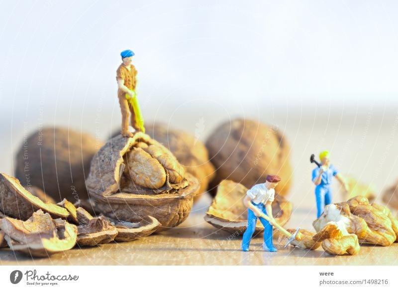 nutcrackers Food Work and employment Craftsperson Construction site Axe Nature Plant Eating Working man Construction worker Geography size ratio Woodcutter