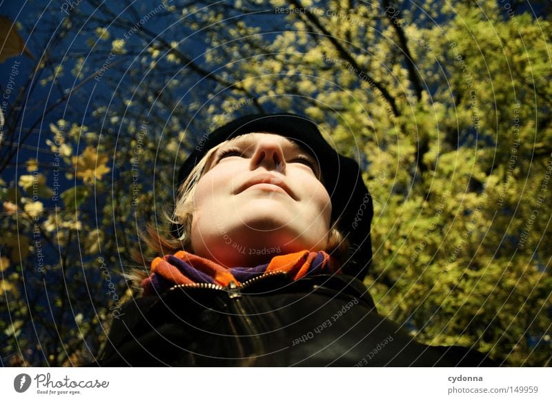 autumnless Autumn Seasons Leaf Multicoloured Yellow Tree Nature Time Sky Wind Sun Human being Woman Feminine Portrait photograph Heat To enjoy Relaxation