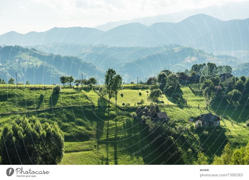 The green contour of the earth Nature Landscape Plant Sky Sunrise Sunset Summer Tree Meadow Hill Mountain Hut Relaxation Dream Blue Green Moody Peace
