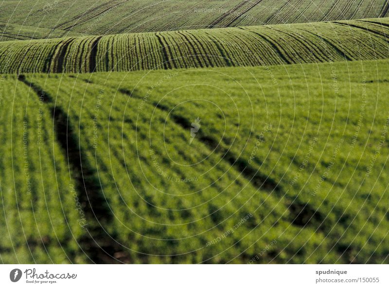 green waves Field Hill Meadow Sowing Grass Green Line Far-off places Country life Plow Blur Landscape Peace grass hub greenish Escape Americas country love