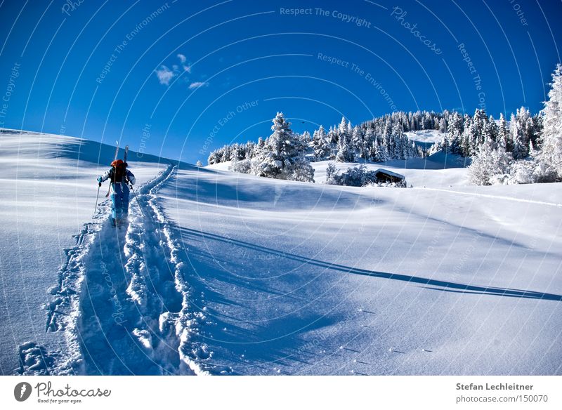 Ascent to the summit Austria Winter Mountain Snowscape Federal State of Tyrol Deep snow Winter forest Village serfaus ski resort winter village untouched nature