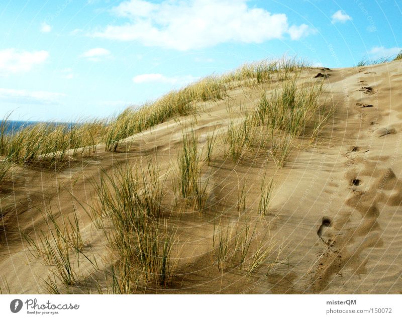 "200" summer, sun, sunshine Beach Beach dune Dune Vacation & Travel Discover Sky Ocean Baltic Sea Relaxation Weather Summer Nature Success Lanes & trails Coast