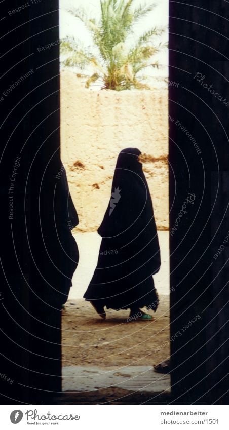 veil Morocco Islam Vail Woman Chador Human being