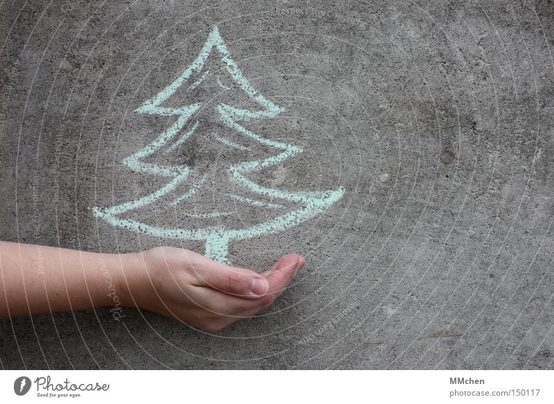 Tree Fir tree Christmas tree Chalk Wall (building) Hand Christmas & Advent Feasts & Celebrations Gift Donate Give Charity imaginary