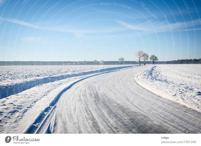 on foot Environment Nature Landscape Elements Sky Cloudless sky Clouds Winter Climate Beautiful weather Ice Frost Snow Tree Field Margin of a field Transport