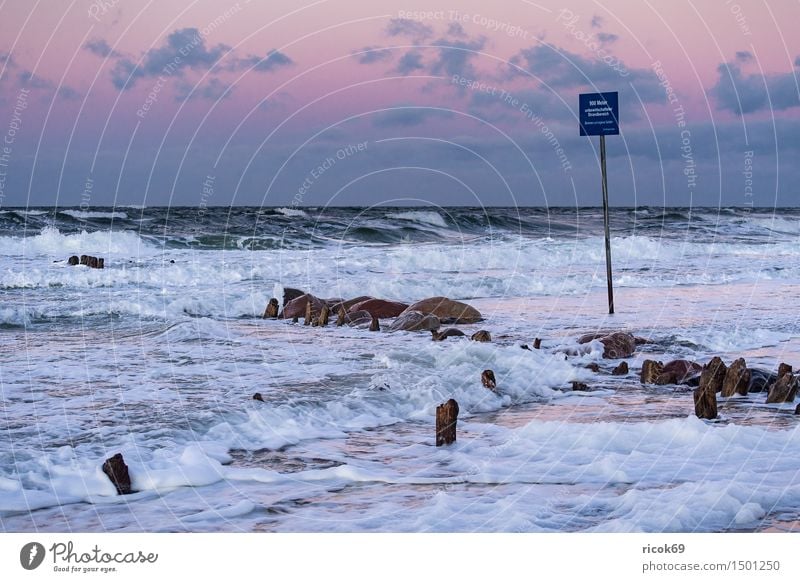 Stage at the coast of the Baltic Sea Relaxation Vacation & Travel Beach Ocean Waves Nature Landscape Water Gale Rock Coast Stone Wood Signage Warning sign