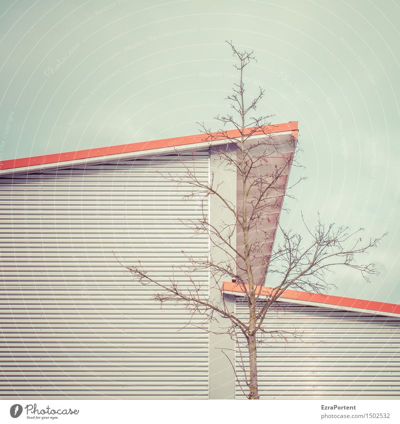 . Sky Tree House (Residential Structure) Manmade structures Building Architecture Facade Roof Wood Metal Steel Line Stripe Cold Naked Blue Gray Red Design