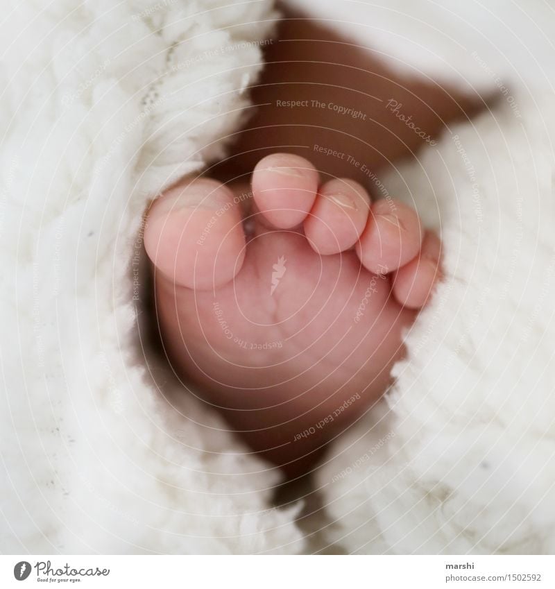newborn Human being Child Baby Toddler Feet 1 0 - 12 months Emotions Moody Love Newborn Toes Delicate Motherly love Offspring Birth Small Colour photo