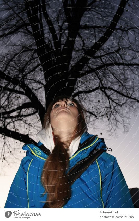 lady of nature Woman Tree Sky Portrait photograph Winter Jacket Branch Twilight To go for a walk Vantage point Peace Hair and hairstyles Face