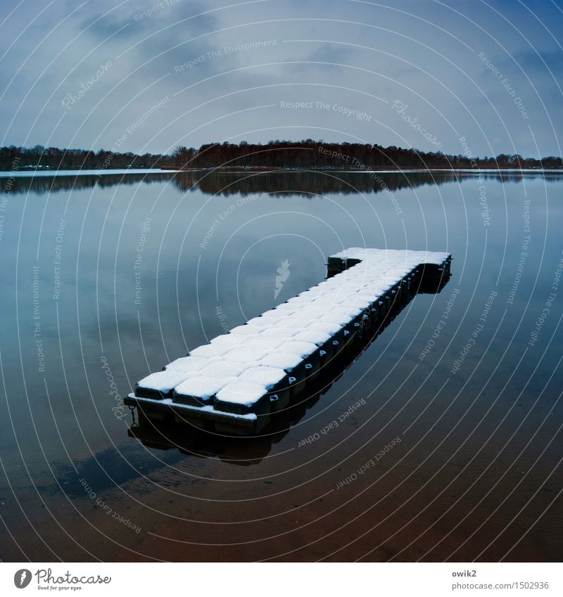 waterbed Environment Nature Landscape Water Sky Clouds Horizon Winter Climate Beautiful weather Snow Forest Lake Olba Lausitz forest Germany Saxony Jetty