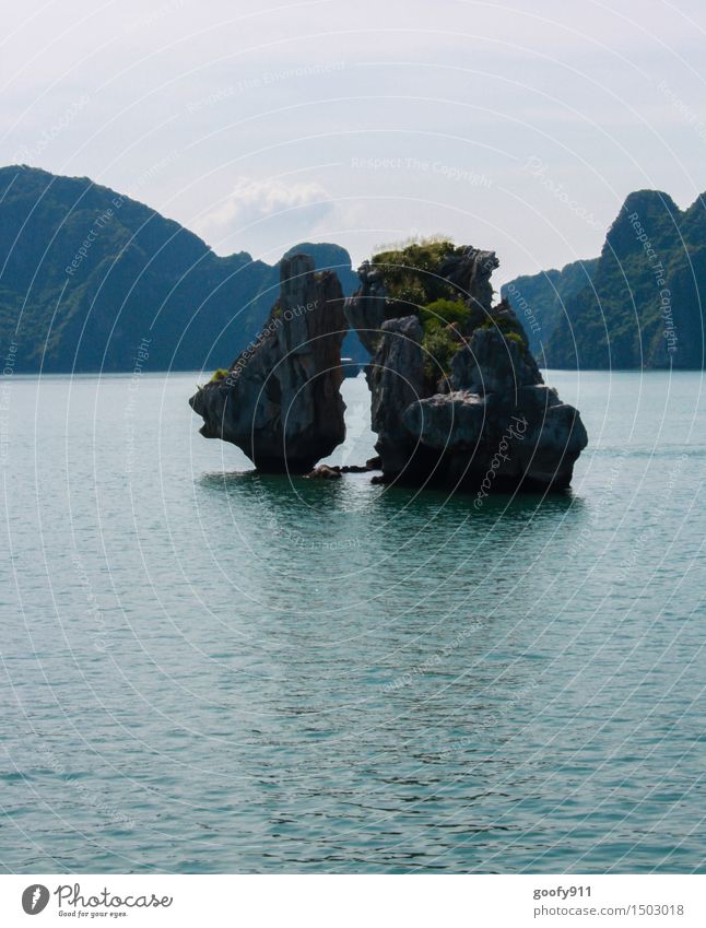 HALONG BAY (Vietnam) Vacation & Travel Trip Far-off places Freedom Sightseeing Expedition Summer Sun Ocean Island Nature Landscape Water Sky Sunlight Spring