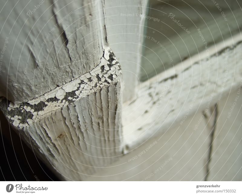 paint shed Close-up Macro (Extreme close-up) Weather Window Wood Glass White Transience Crack & Rip & Tear window varnish crack formation window wing Varnish