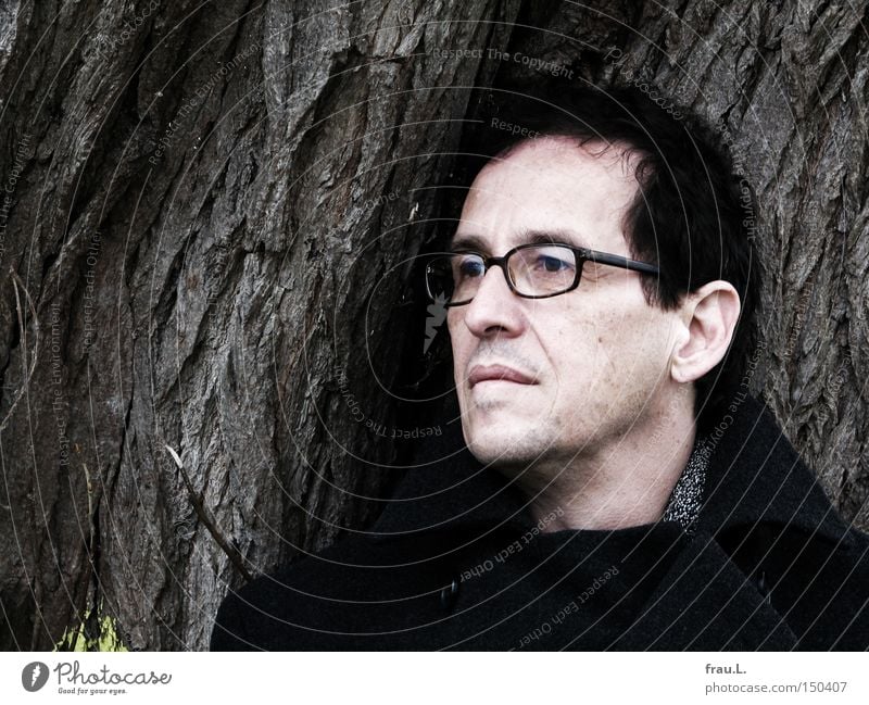 Philemon Man Tree Face portrait Eyeglasses 50 plus Wismar