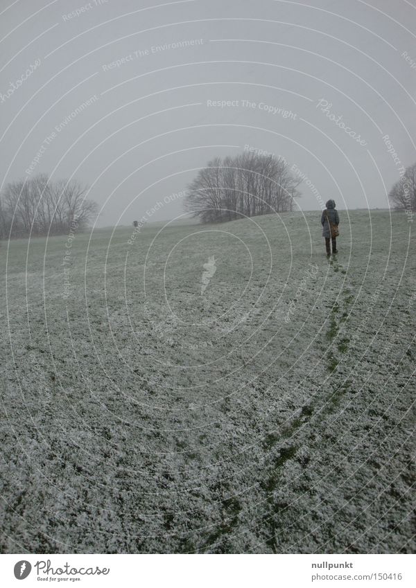 Tracks behind me Snow White Footprint Lanes & trails Behind Meadow Tree Winter Loneliness Horizon Coat Cold Woman tramp