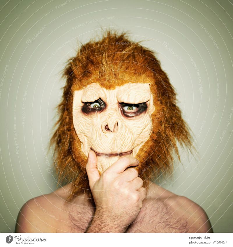 self-doubt Monkeys Animal Dress up Mask Think Doubt Self doubt Whimsical Funny Humor Joy monkey face Carnival