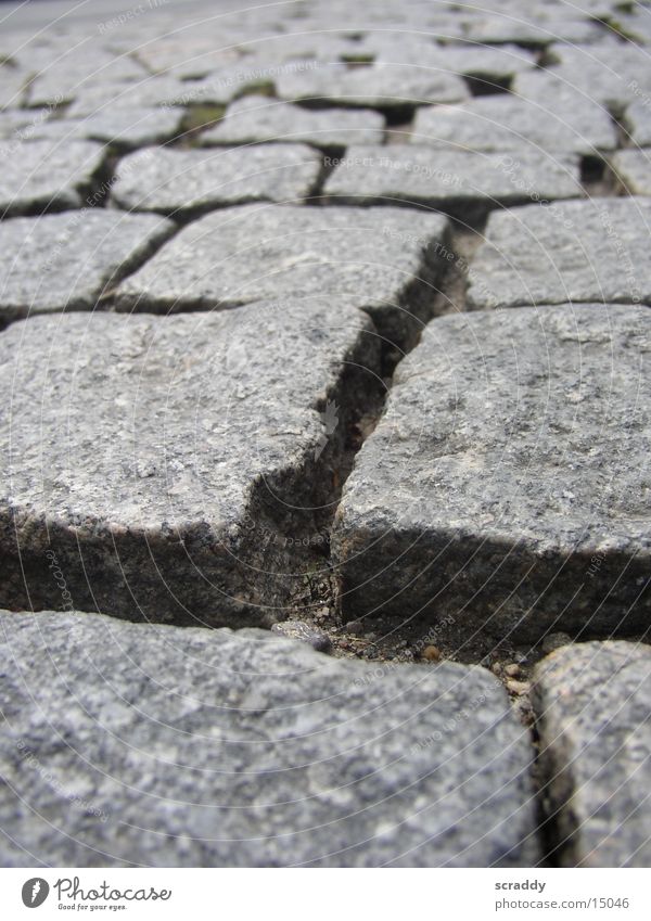 cobblestones Seam Gray Macro (Extreme close-up) Close-up cobblestone pavement Stone Structures and shapes Paving stone