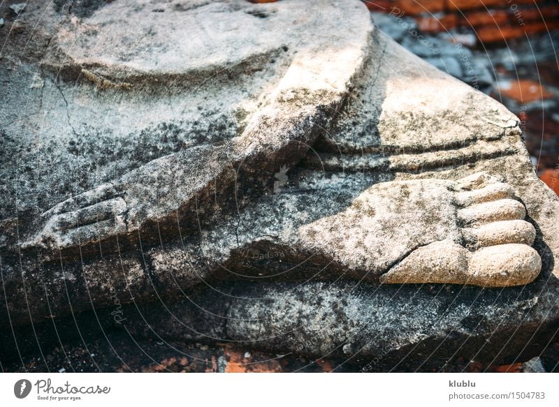 Hand and foot of Buddha statue in Ayutthaya, Thailand Design Face Meditation Feet Culture Sky Clouds Architecture Old Belief Religion and faith Ancient Asia