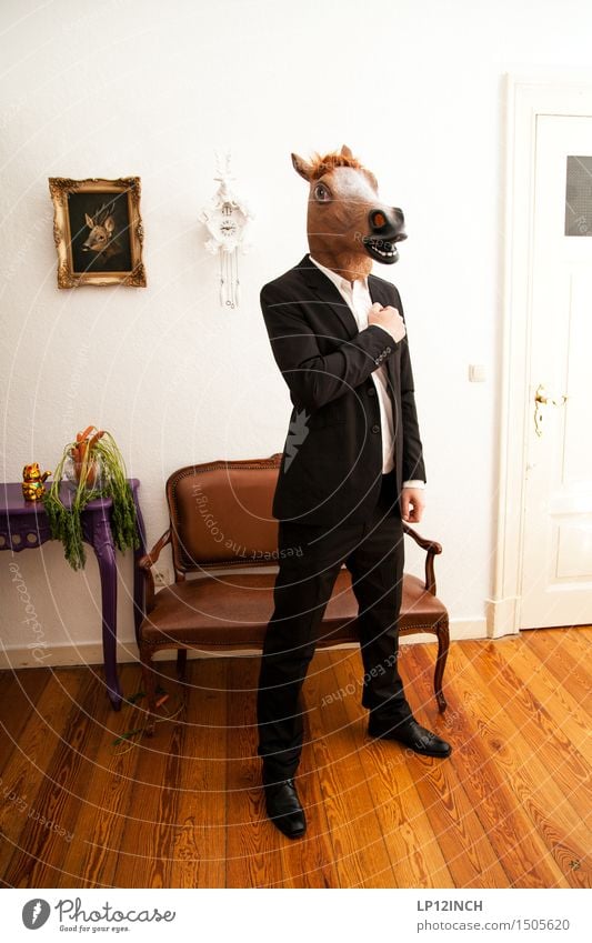 LP. HORSEMAN. XIII Vegetable Lifestyle Style Living or residing Flat (apartment) Carnival Hallowe'en Masculine 1 Human being Clothing Suit Horse Animal Creepy