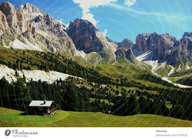 dolomites col raiser Mountain Hiking Climbing Alpine pasture Vacation & Travel Italy Meadow Alps