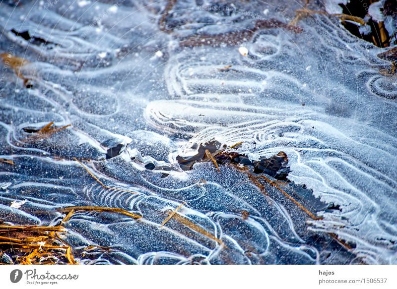 Ice at the stream Winter Nature Water Frost Brook Cold White Idyll ice plate geometric Ice crystal Frozen Drop Still Life Seasons chill Colour photo Close-up