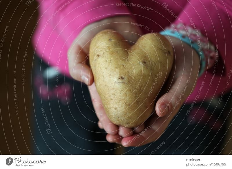 Potato_heart_fundus Food Potatoes Style Design Valentine's Day Girl Arm Hand Fingers 1 Human being 3 - 8 years Child Infancy Heart potato heart Heart-shaped