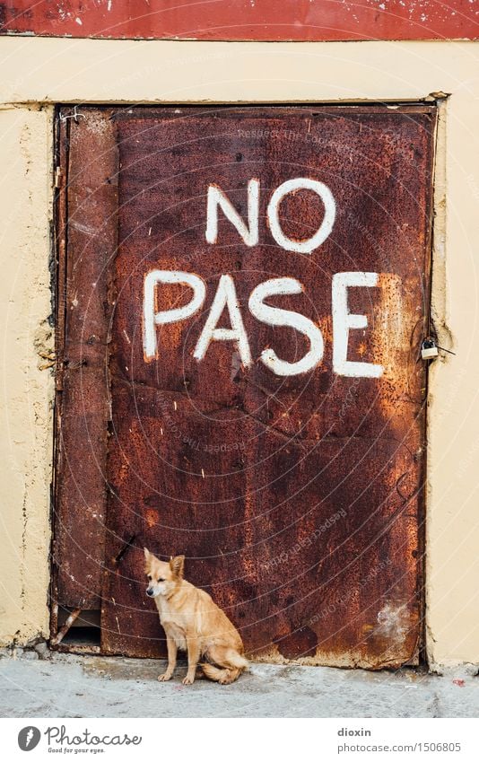 NO PASE Cuba South America Central America Caribbean Door Animal Pet Dog Watchdog 1 Padlock Rust Metal Characters Signage Warning sign Prohibition sign Old