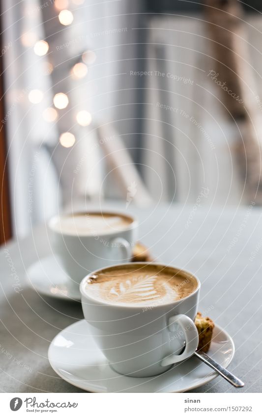 cappuccinos Coffee Cappuccino Cup Milk milk foam latte type Spoon Cookie Light blur To enjoy Caffeine Table Gray Concrete Back-light Brown White Feather