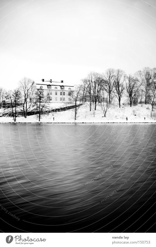 Stockholm Views II House (Residential Structure) Water Tree Snow Cold Winter Coast Living or residing Loneliness Landscape Nature Lake Black & white photo River