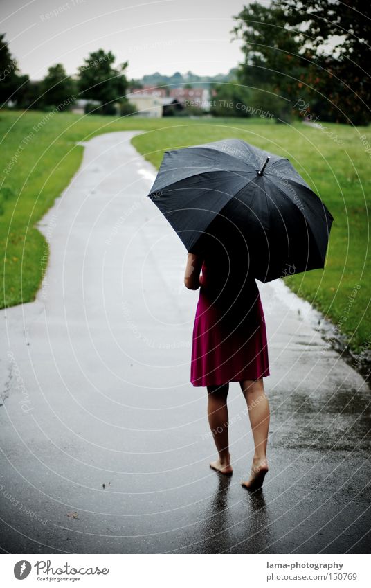 barefoot Woman Umbrella Rain Thunder and lightning Barefoot Dress Autumn Wet Lanes & trails To go for a walk Puddle Meadow Grief Light heartedness Distress