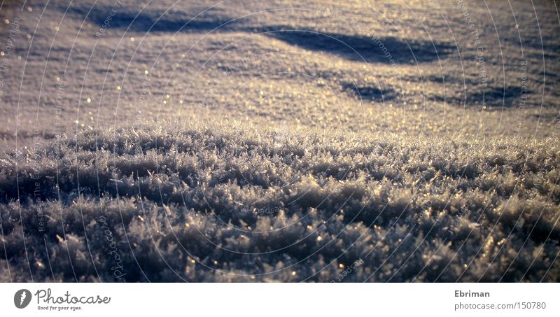 icily Winter Snow Lake Ice Frozen Ice crystal Cold White Glittering Tracks Frost