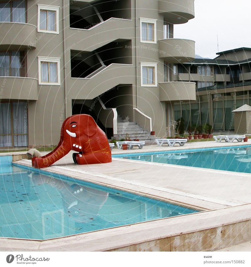 Ri-Ra-Slide Leisure and hobbies Vacation & Travel Summer Swimming pool Red Elephant Hotel Infancy Colour photo Exterior shot Deserted Day Animal figure