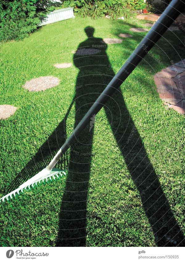 Grass Man Wellness Contentment Summer Garden Gardening Nature Green Responsibility Calm Cleanliness Respect Pride Lawn Rake Accomplishment Afternoon