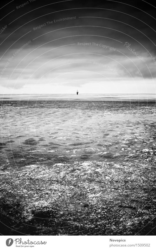 Beach Lubmin - Winter Study VI Nature Landscape Rock Baltic Sea Building Architecture Black White Ice Snow Sea bridge Sky Clouds Stones Express train