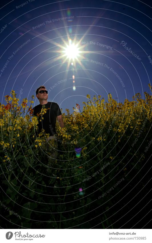 rapsfeld Canola Field Canola field Sun Summer Man Back-light Exposure Blue Yellow Sunglasses