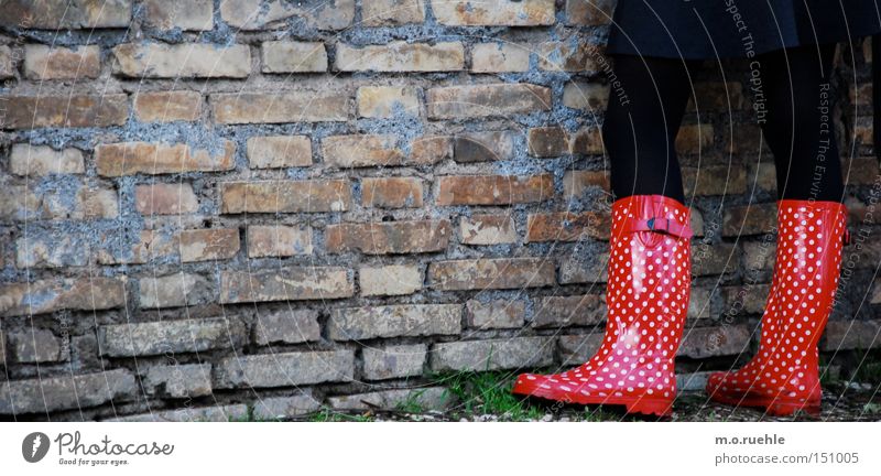 armed: for you and the rain Ladybird Legs Woman's leg Skirt Colour Point Reddish white Tights All-weather Fashion Style Footwear Autumn Clothing rain boots