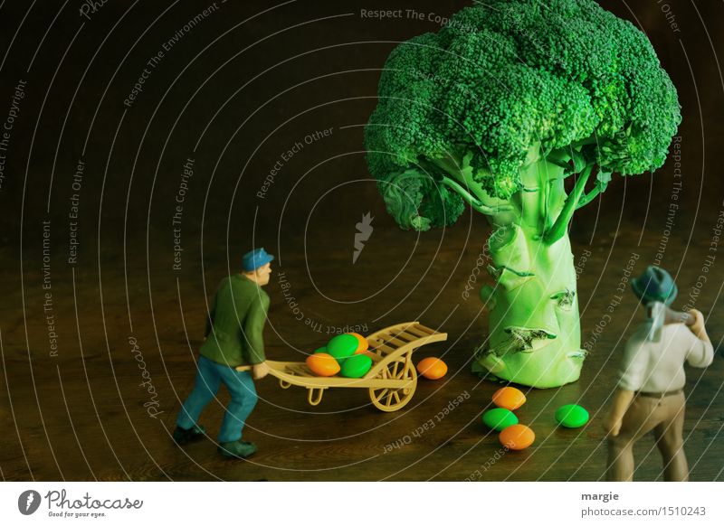 Miniwelten - Broccoli Harvest Vegetable Organic produce Vegetarian diet Work and employment Gardening Workplace Kitchen Agriculture Forestry Human being