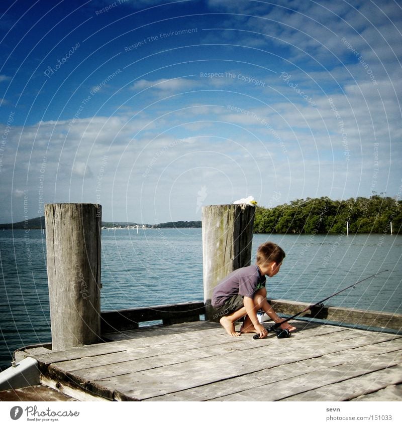 fish Fishing (Angle) River Lake Wood Boy (child) Water Clouds Footbridge Child Action Australia Summer