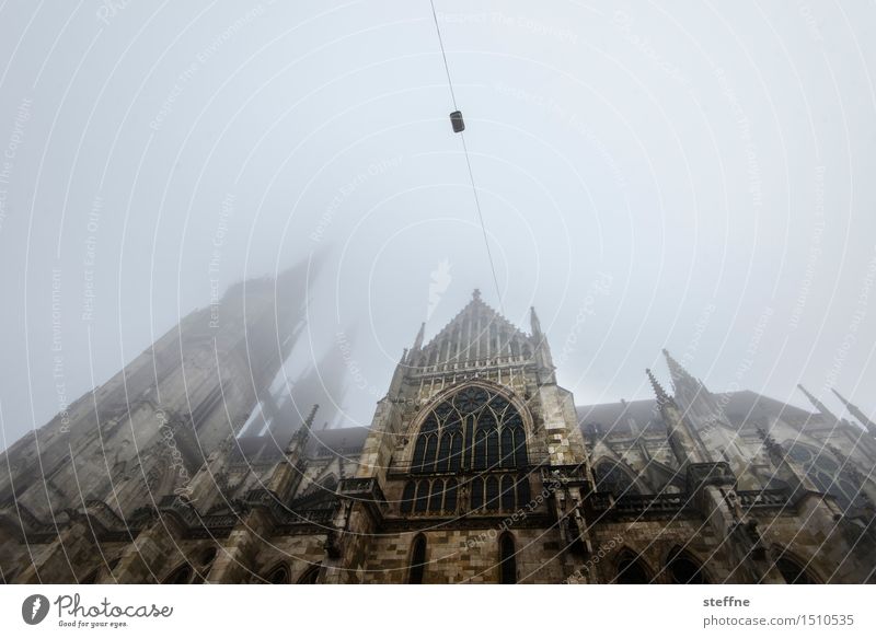 way to top II Sky Winter Bad weather Fog Regensburg Church Dome Religion and faith Facade Wide angle Colour photo Subdued colour Exterior shot Copy Space top